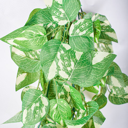 Planta artificiala curgatoare, inaltime 70cm, Naimeed D4871, Verde Inchis