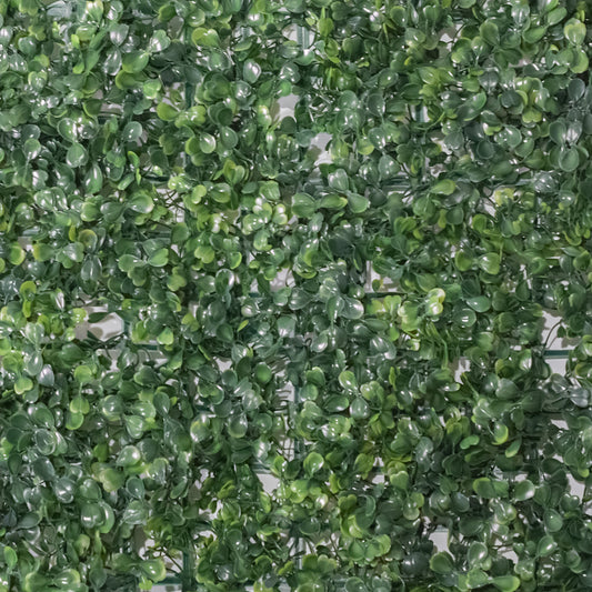 Panou verde din plante artificiale, Naimeed D4963