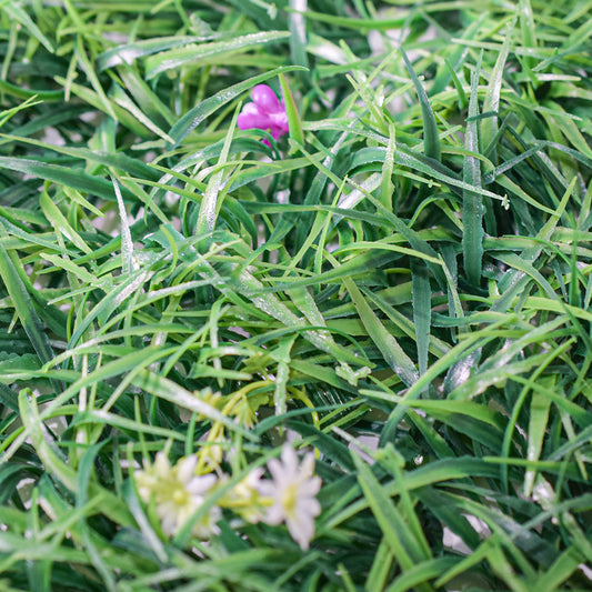 Panou verde din plante artificiale, Naimeed D4965