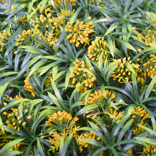 Panou verde din plante artificiale, Naimeed D4975