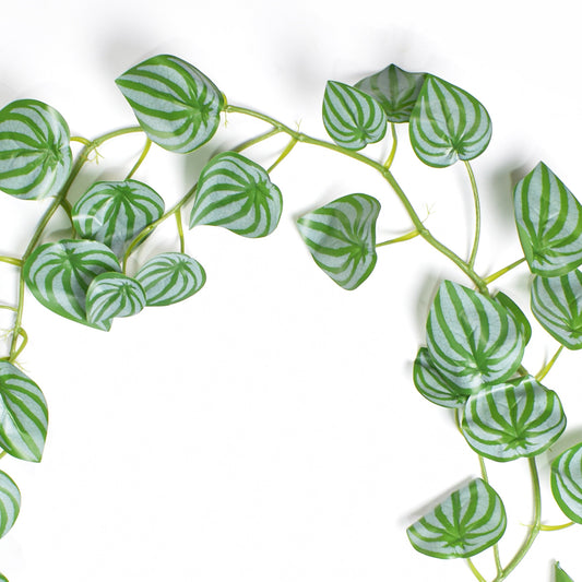 Ghirlanda artificiala, Naimeed D4986, Verde, 1.7m