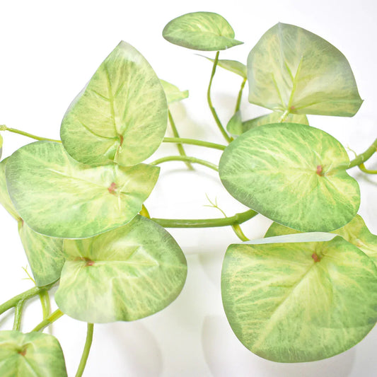 Planta artificiala curgatoare, Naimeed D4990, Verde, 1.7m - 221.ro