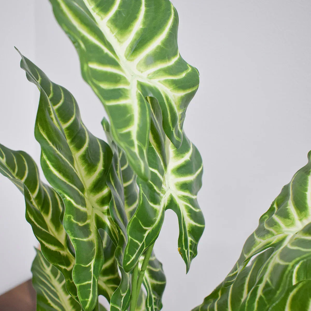 Planta artificiala, fara ghiveci, inaltime 60cm, Naimeed D4993, Verde - 221.ro