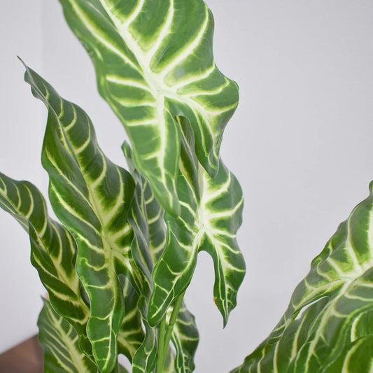 Planta artificiala, fara ghiveci, inaltime 60cm, Naimeed D4993, Verde - 221.ro