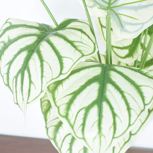 Planta artificiala, fara ghiveci, inaltime 60cm, Naimeed D4995, Verde - 221.ro