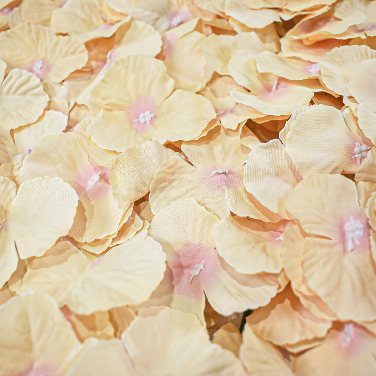 Panou din flori artificiale, Naimeed D5000, Portocaliu