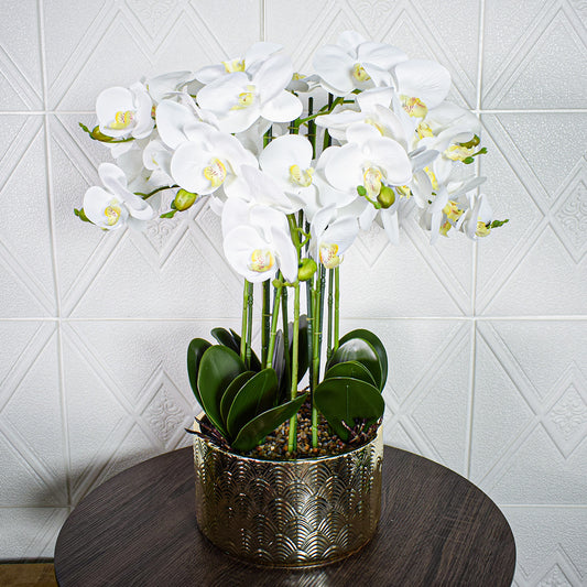 Orhidee cu aspect natural in ghiveci ceramic, 60 cm, Naimeed D5568, Alb