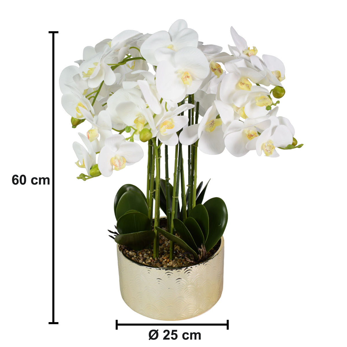 Orhidee cu aspect natural in ghiveci ceramic, 60 cm, Naimeed D5568, Alb