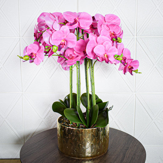 Orhidee cu aspect natural in ghiveci ceramic, 60 cm, Naimeed D5568, Roz