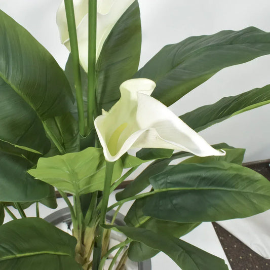 Floare artificiala, Calla fara ghiveci, Naimeed D5600, 113x78 cm, Alb - 221.ro
