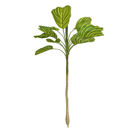 Planta artificiala, Dracaena Marginata fara ghiveci, Naimeed D5601, 115x51 cm, Verde/Galben - 221.ro