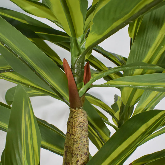 Planta artificiala, Dracaena fara ghiveci, Naimeed D5602, 120x85 cm, Verde/Galben - 221.ro