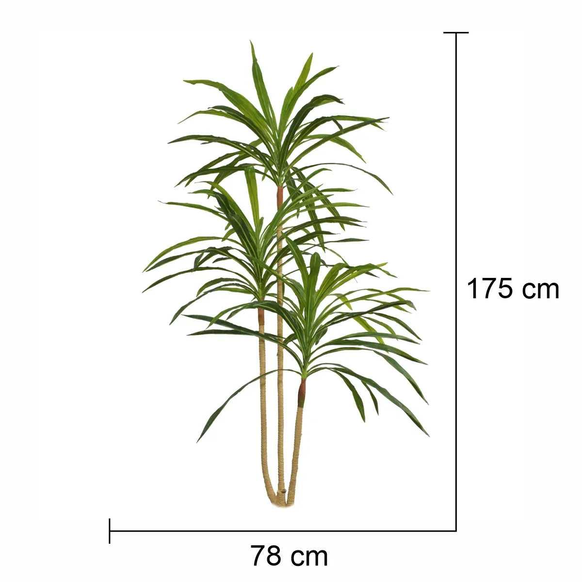 Planta artificiala, Dracaena Marginata fara ghiveci, Naimeed D5604, 175x78 cm, Verde - 221.ro