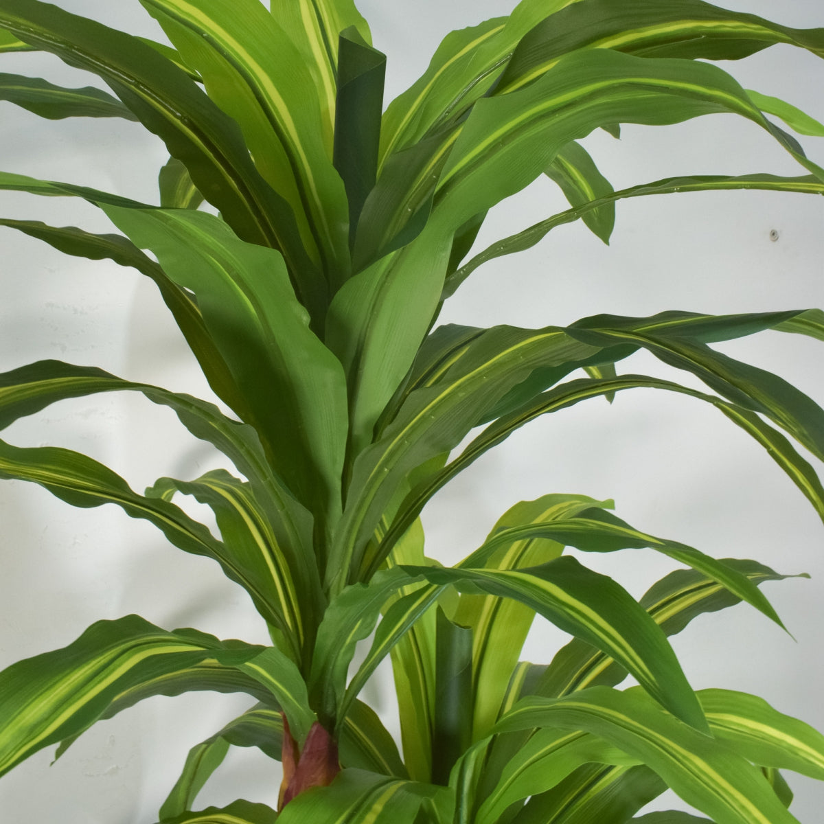 Copac artificial, Dracaena fara ghiveci, Naimeed D5612, 166x100 cm, Verde/Galben