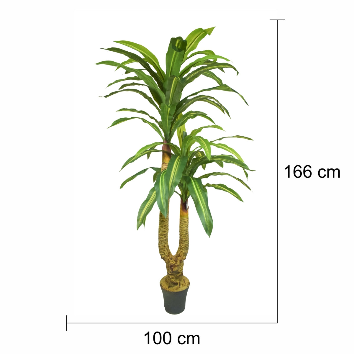 Copac artificial, Dracaena fara ghiveci, Naimeed D5612, 166x100 cm, Verde/Galben