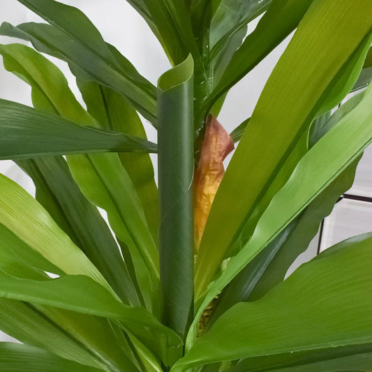 Copac artificial, Dracaena fara ghiveci, Naimeed D5612, 166x100 cm, Verde - 221.ro