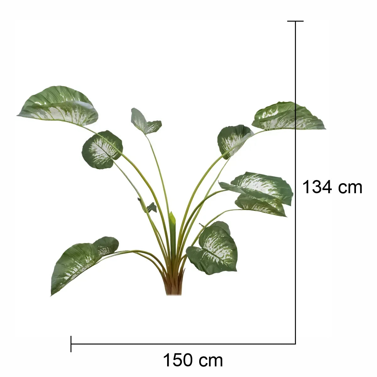 Planta artificiala, Caladium fara ghiveci, Naimeed D5614, 134x150 cm, Verde - 221.ro
