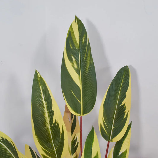 Planta artificiala, Stromanthe Sanguinea fara ghiveci, Naimeed D5618, 185x40 cm, Galben - 221.ro