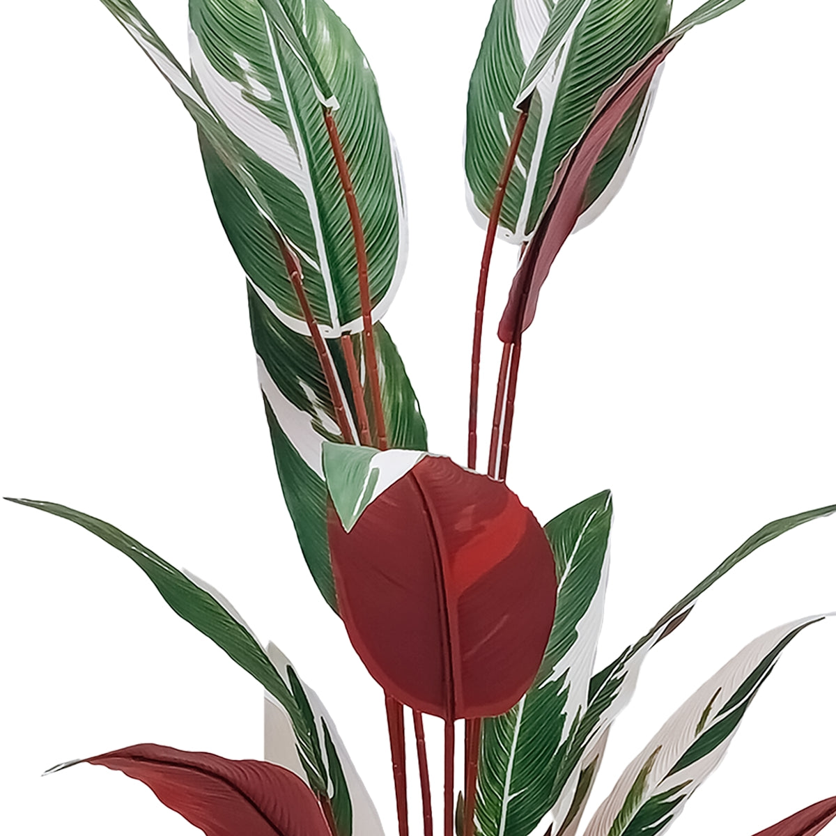 Planta artificiala, Stromanthe Sanguinea fara ghiveci, Naimeed D5619, 140x30 cm, Alb