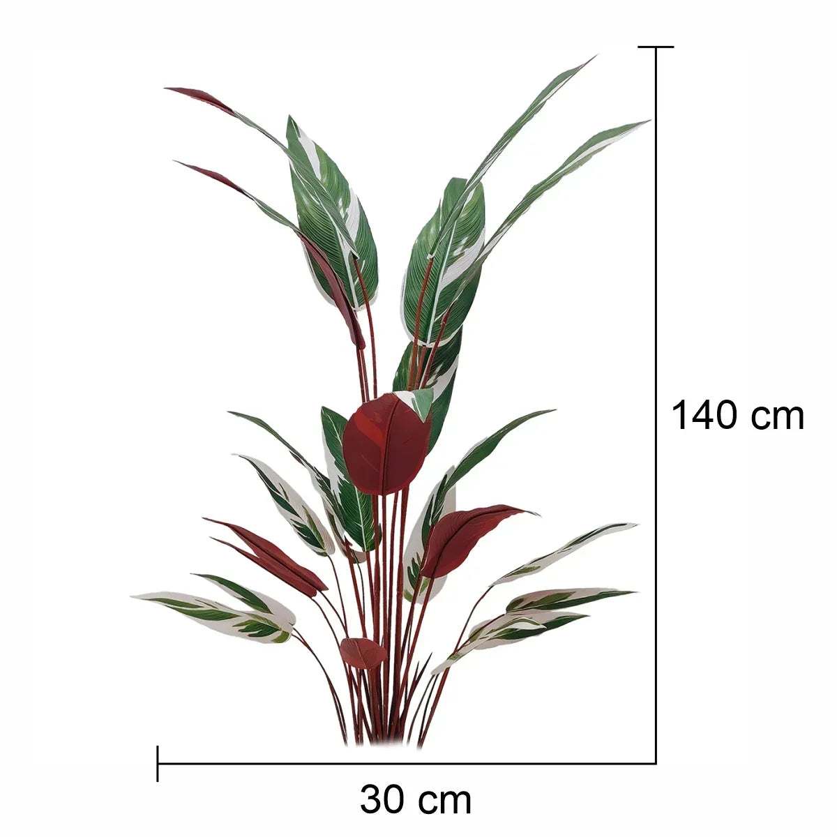 Planta artificiala, Stromanthe Sanguinea fara ghiveci, Naimeed D5619, 140x30 cm, Alb - 221.ro