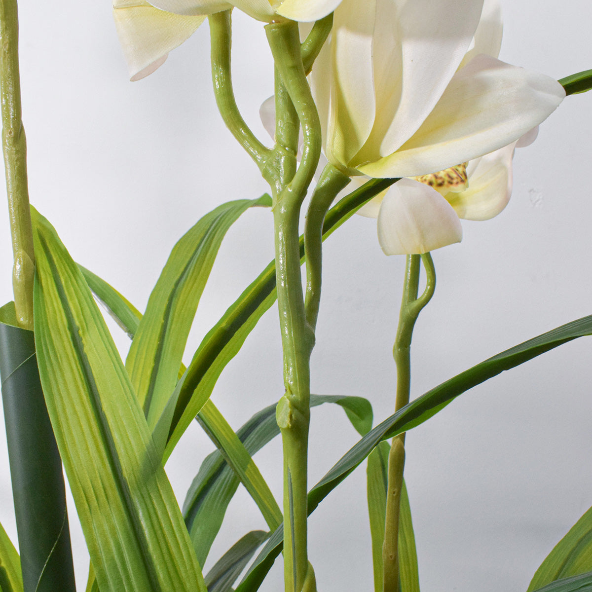 Floare artificiala, Orhidee molie fara ghiveci, Naimeed D5621, 100x84 cm, Alb