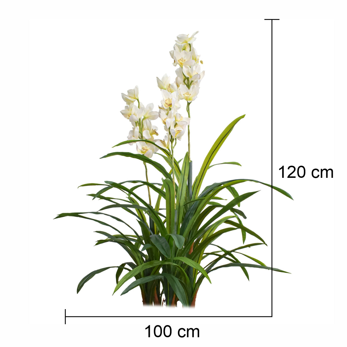 Floare artificiala, Orhidee barca fara ghiveci, Naimeed D5620, 120x100 cm, Alb