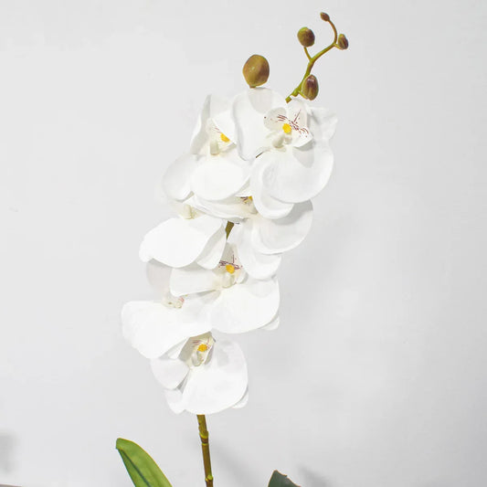 Floare artificiala, Orhidee fara ghiveci, Naimeed D5623, 105x60 cm, Alb - 221.ro