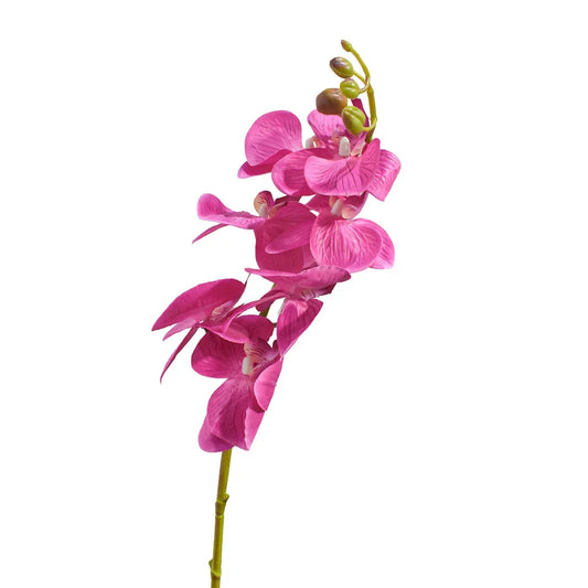 Floare artificiala, Orhidee fara ghiveci, Naimeed D5623, 105x60 cm, Roz - 221.ro
