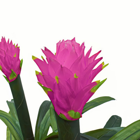 Floare artificiala, Guzmania fara ghiveci, Naimeed D5627, 70x75 cm, Mov