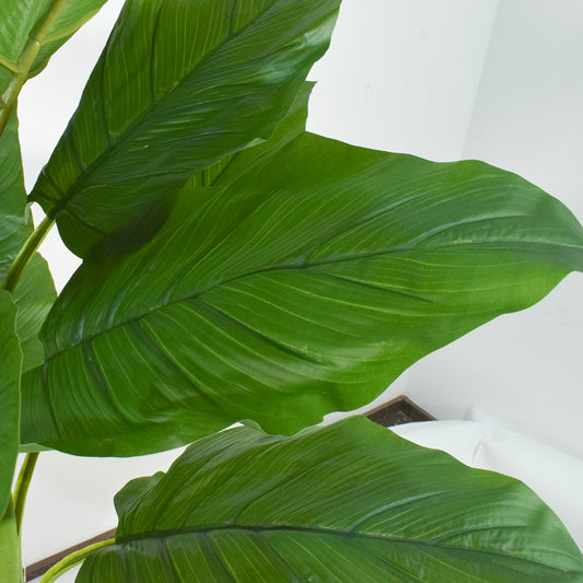 Copac artificial, Banan Japonez fara ghiveci, Naimeed D5641, 180x96 cm, Verde