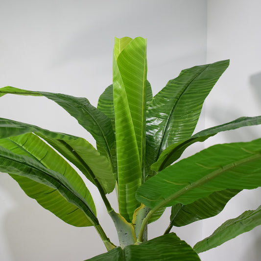 Copac artificial, Banan Musa fara ghiveci, Naimeed D5648, 233x95 cm, Verde