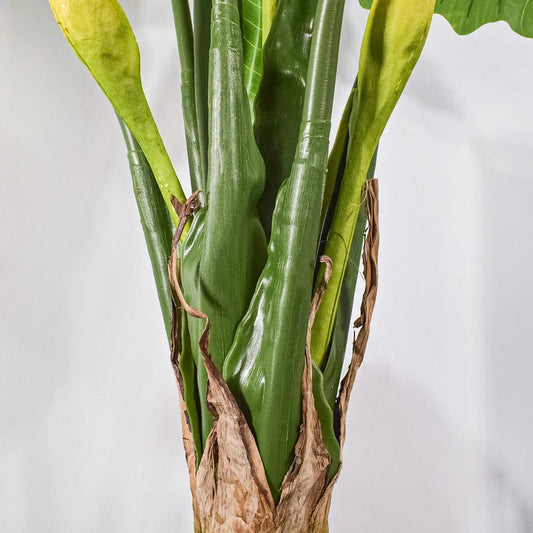 Planta artificiala,Caladium Taro fara ghiveci, Naimeed D5651, 210x177 cm Verde - 221.ro