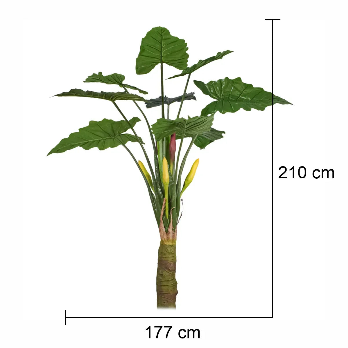 Planta artificiala,Caladium Taro fara ghiveci, Naimeed D5651, 210x177 cm Verde - 221.ro