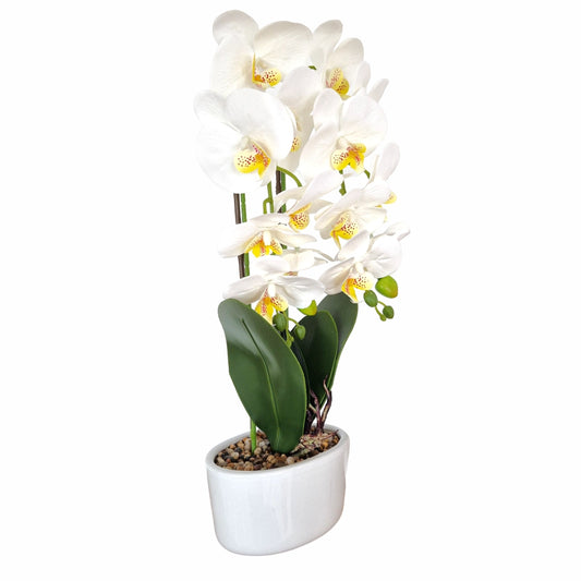 Orhidee cu aspect natural in ghiveci ceramic, 50 cm, Naimeed D5819, Alb
