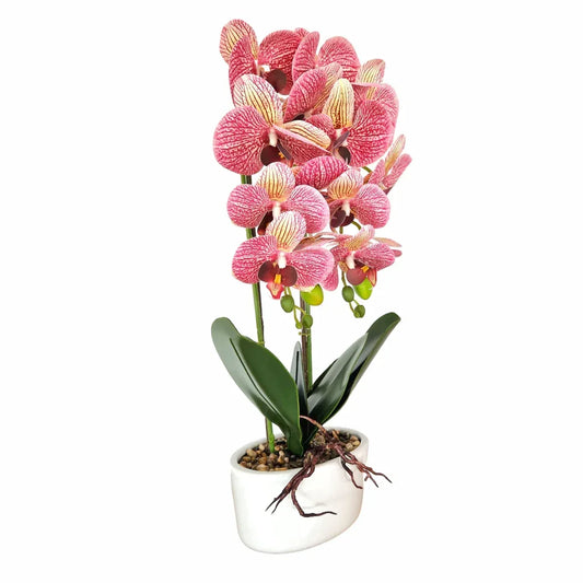 Orhidee cu aspect natural in ghiveci ceramic, 50 cm, Naimeed D5819, Mov - 221.ro