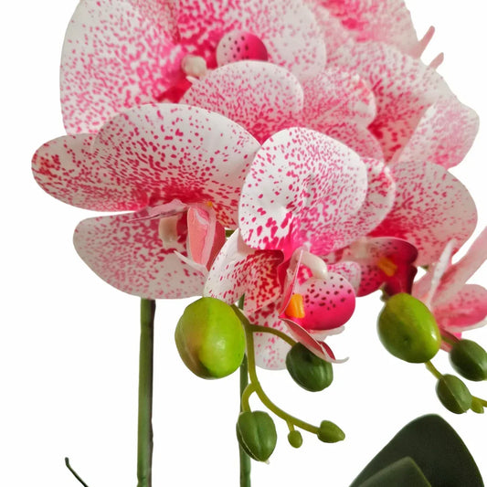 Orhidee cu aspect natural in ghiveci ceramic, 50 cm, Naimeed D5819, Roz - 221.ro