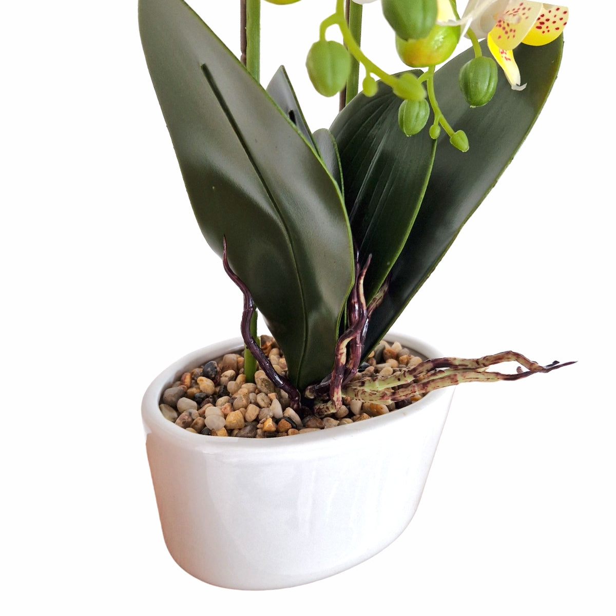 Orhidee cu aspect natural in ghiveci ceramic, 50 cm, Naimeed D5819, Alb