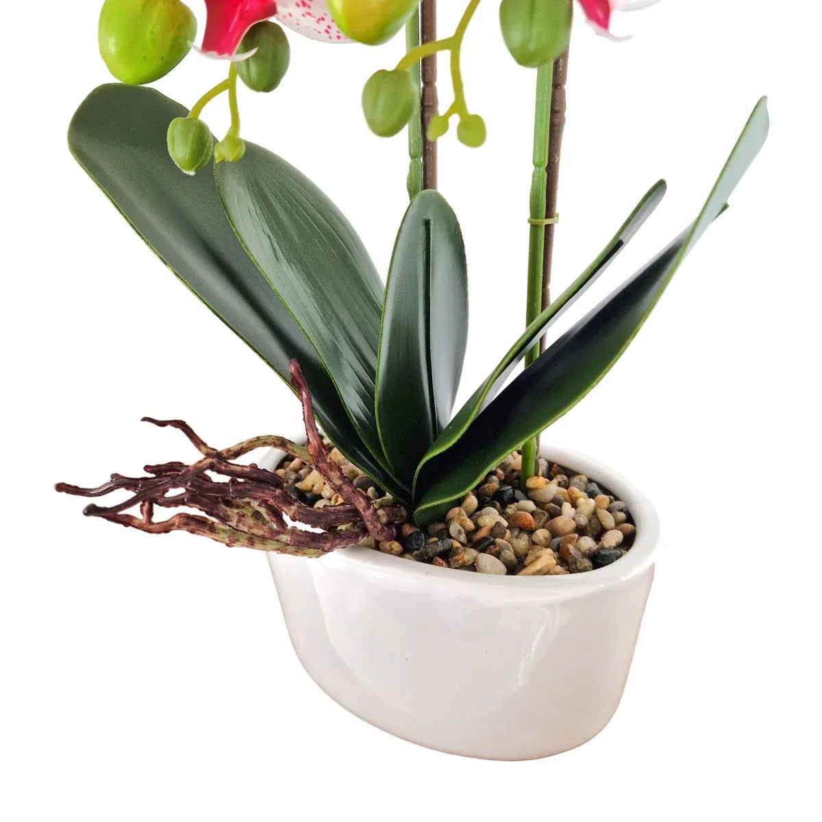 Orhidee cu aspect natural in ghiveci ceramic, 50 cm, Naimeed D5819, Roz - 221.ro