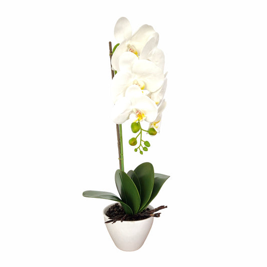 Orhidee cu aspect natural in ghiveci ceramic, 46 cm, Naimeed D5820, Alb