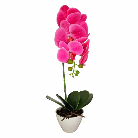 Orhidee cu aspect natural in ghiveci ceramic, 46 cm, Naimeed D5820, Mov - 221.ro