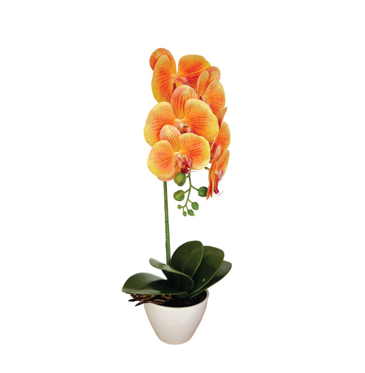 Orhidee cu aspect natural in ghiveci ceramic, 46 cm, Naimeed D5820, Portocaliu