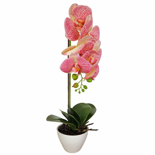 Orhidee cu aspect natural in ghiveci ceramic, 46 cm, Naimeed D5820, Roz