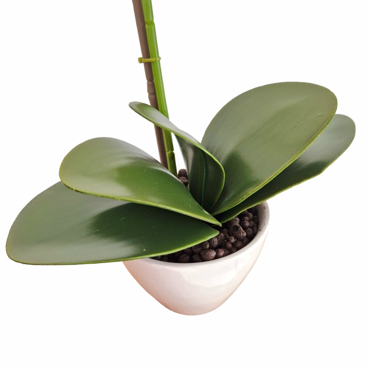 Orhidee cu aspect natural in ghiveci ceramic, 46 cm, Naimeed D5820, Portocaliu