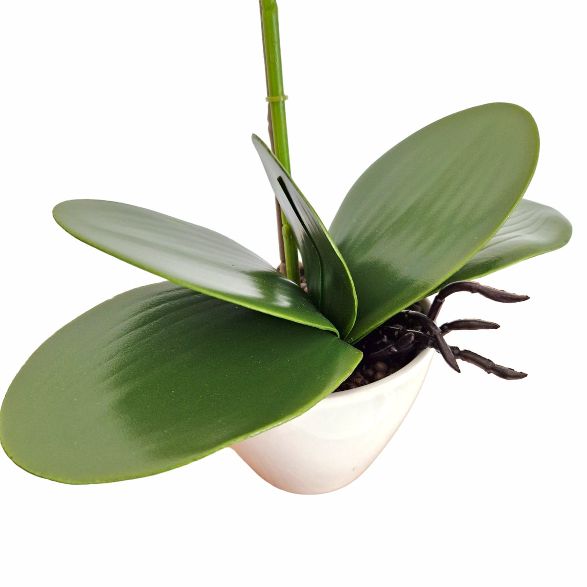 Orhidee cu aspect natural in ghiveci ceramic, 46 cm, Naimeed D5820, Alb Roziu