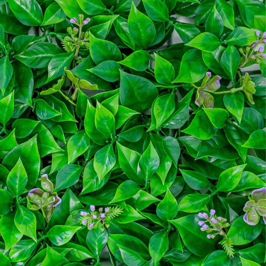 Panou din plante artificiale, cu frunze, Naimeed D5901, Verde Inchis, 600x400mm - 221.ro