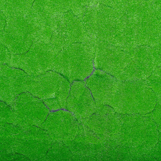 Covor muschi artificial de padure, Naimeed D6540, pentru decorare interioara sau exterioara, Verde, 1000x1000x20mm