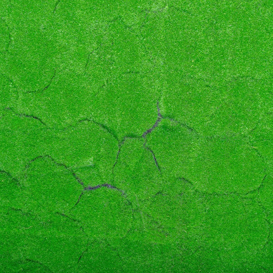Covor muschi artificial de padure, Naimeed D6540, pentru decorare interioara sau exterioara, Verde, 1000x1000x20mm - 221.ro