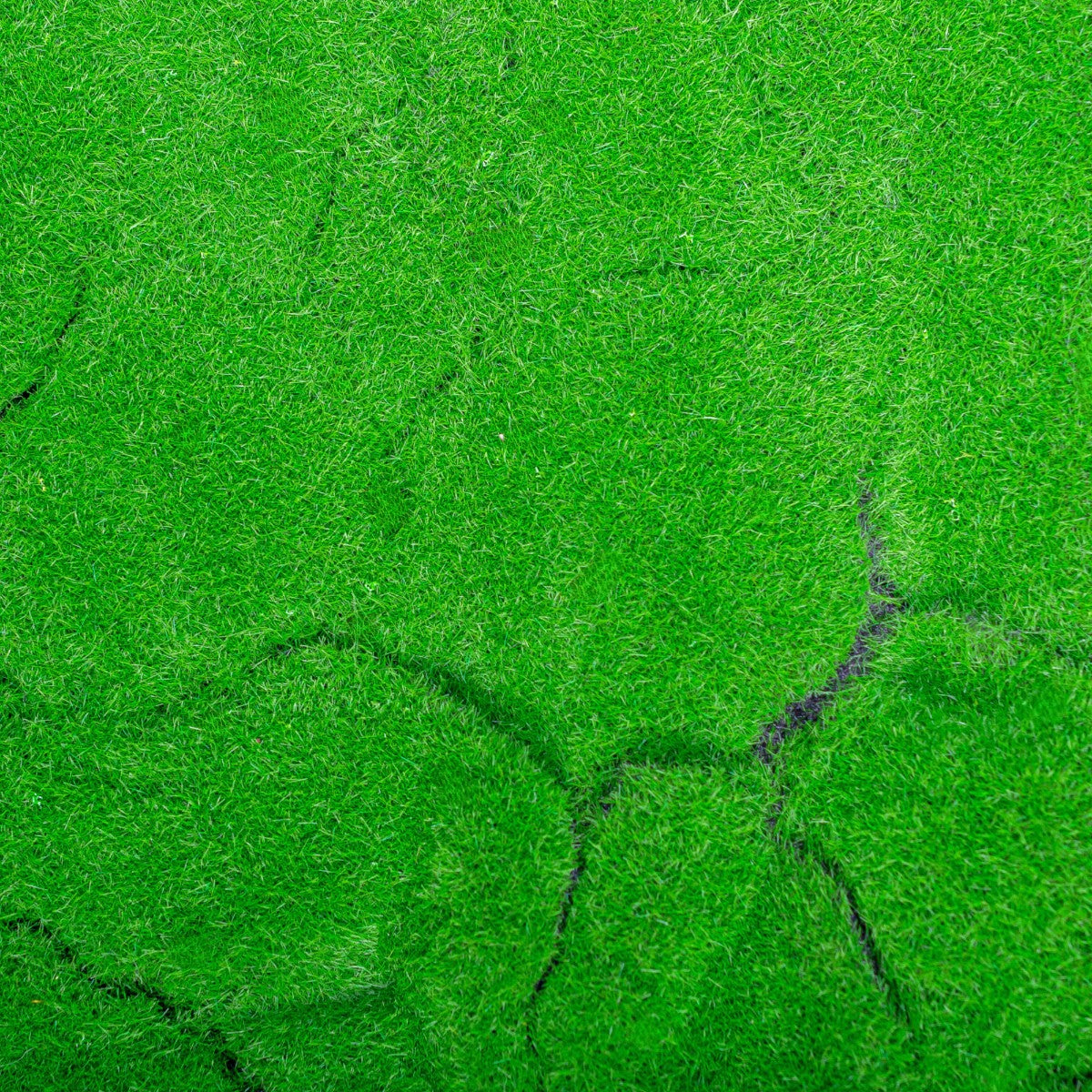 Covor muschi artificial de padure, Naimeed D6540, pentru decorare interioara sau exterioara, Verde, 1000x1000x20mm