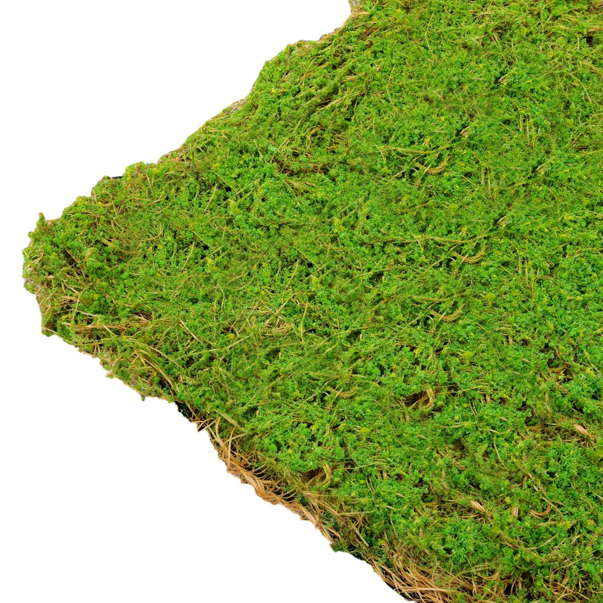 Covor muschi artificial de padure, Naimeed D6541, pentru decorare interioara sau exterioara, Verde, 1000x1000x20mm
