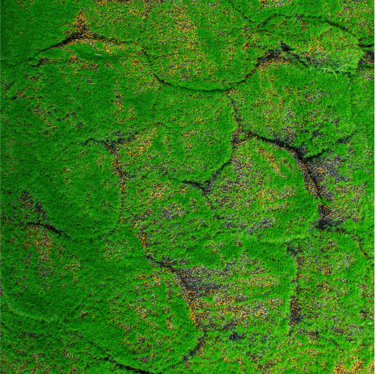 Covor muschi artificial de padure, Naimeed D6542, pentru decorare interioara sau exterioara, Verde, 1000x1000x20mm